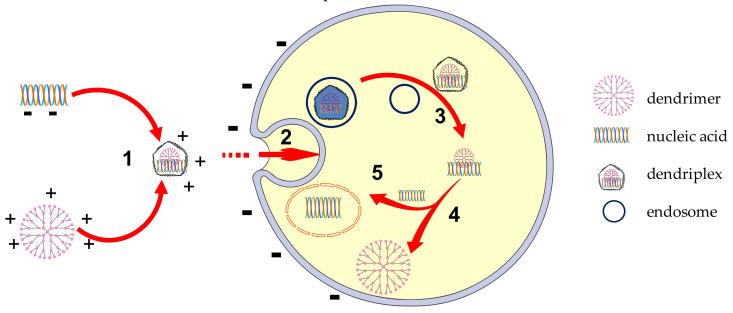 https://cdn.ncbi.nlm.nih.gov/pmc/blobs/d3f9/8512881/3e10bc43595b/molecules-26-05976-g007.jpg