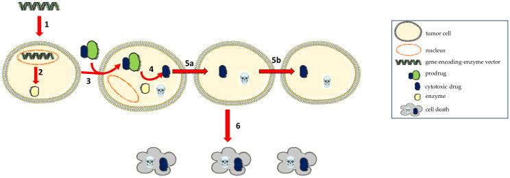 https://cdn.ncbi.nlm.nih.gov/pmc/blobs/d3f9/8512881/61ffdbadc5c8/molecules-26-05976-g002.jpg