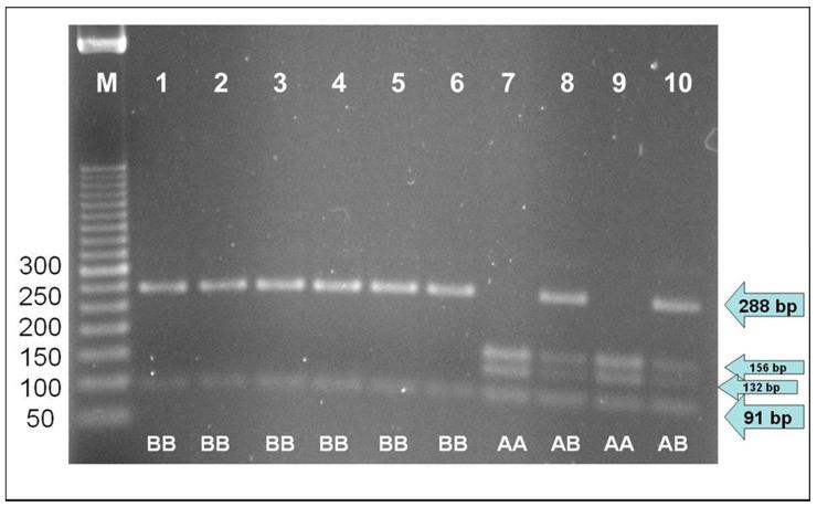 https://cdn.ncbi.nlm.nih.gov/pmc/blobs/d3fa/7692692/4f0318175a09/animals-10-01995-g001.jpg
