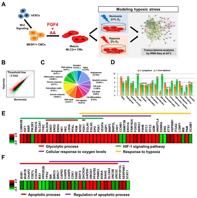 https://cdn.ncbi.nlm.nih.gov/pmc/blobs/d3fb/8534799/ec1b383688ec/cells-10-02741-g004.jpg