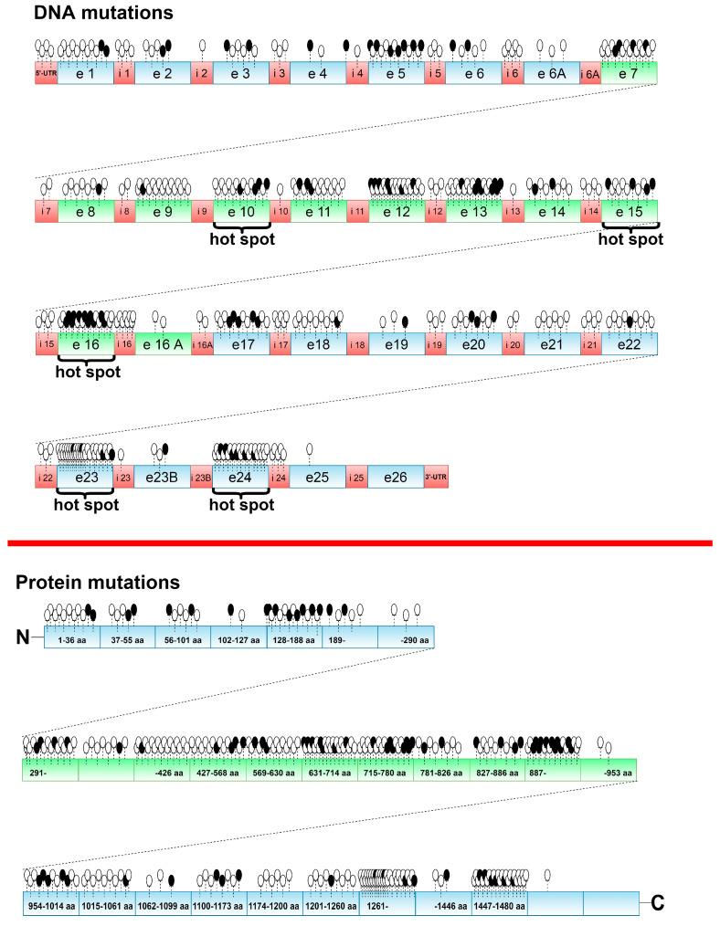 https://cdn.ncbi.nlm.nih.gov/pmc/blobs/d3fe/7957619/02905c3d96ce/ijms-22-02482-g004.jpg