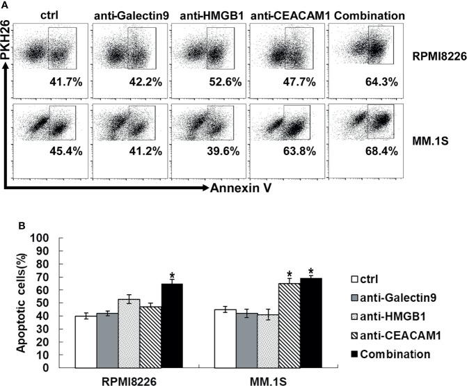 https://cdn.ncbi.nlm.nih.gov/pmc/blobs/d3fe/8913933/5ee755601822/fonc-12-739976-g006.jpg