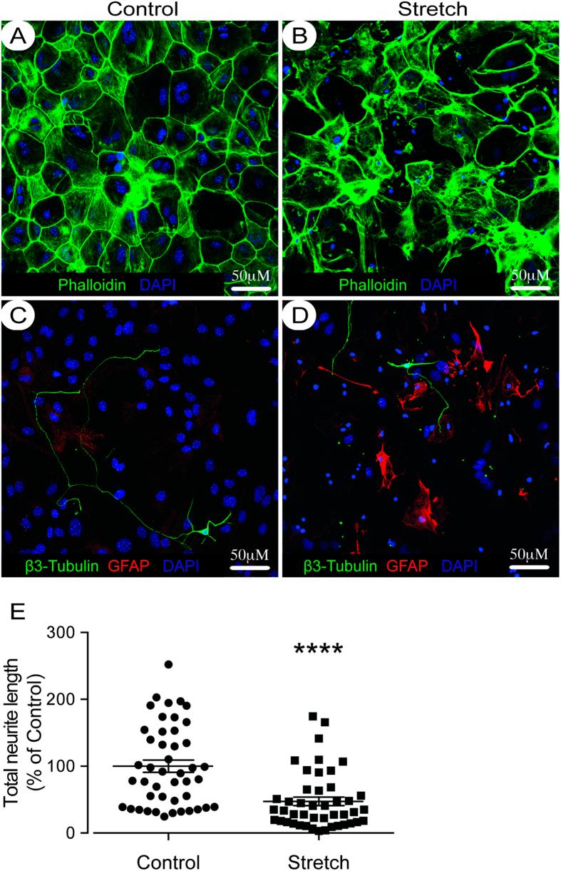https://cdn.ncbi.nlm.nih.gov/pmc/blobs/d403/4763245/6972a03cb631/srep21896-f1.jpg