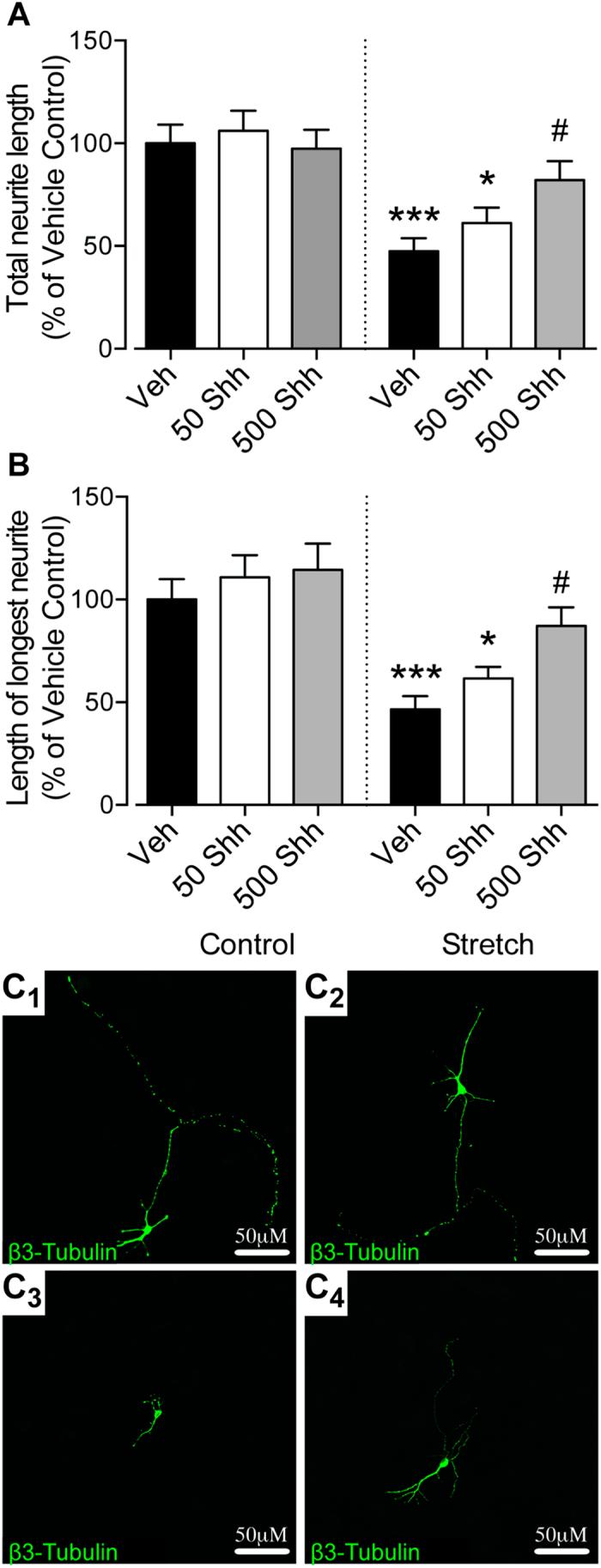 https://cdn.ncbi.nlm.nih.gov/pmc/blobs/d403/4763245/99246dbdc1b1/srep21896-f2.jpg