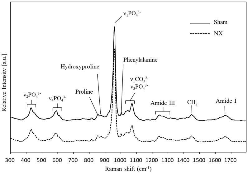 https://cdn.ncbi.nlm.nih.gov/pmc/blobs/d404/6321365/cb89fb2398ed/molecules-23-03081-g001.jpg