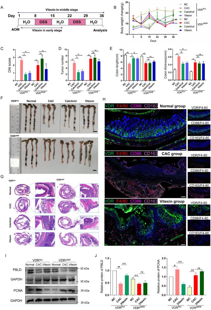 https://cdn.ncbi.nlm.nih.gov/pmc/blobs/d40e/11395219/37f57fbe04e9/12943_2024_2108_Fig7_HTML.jpg