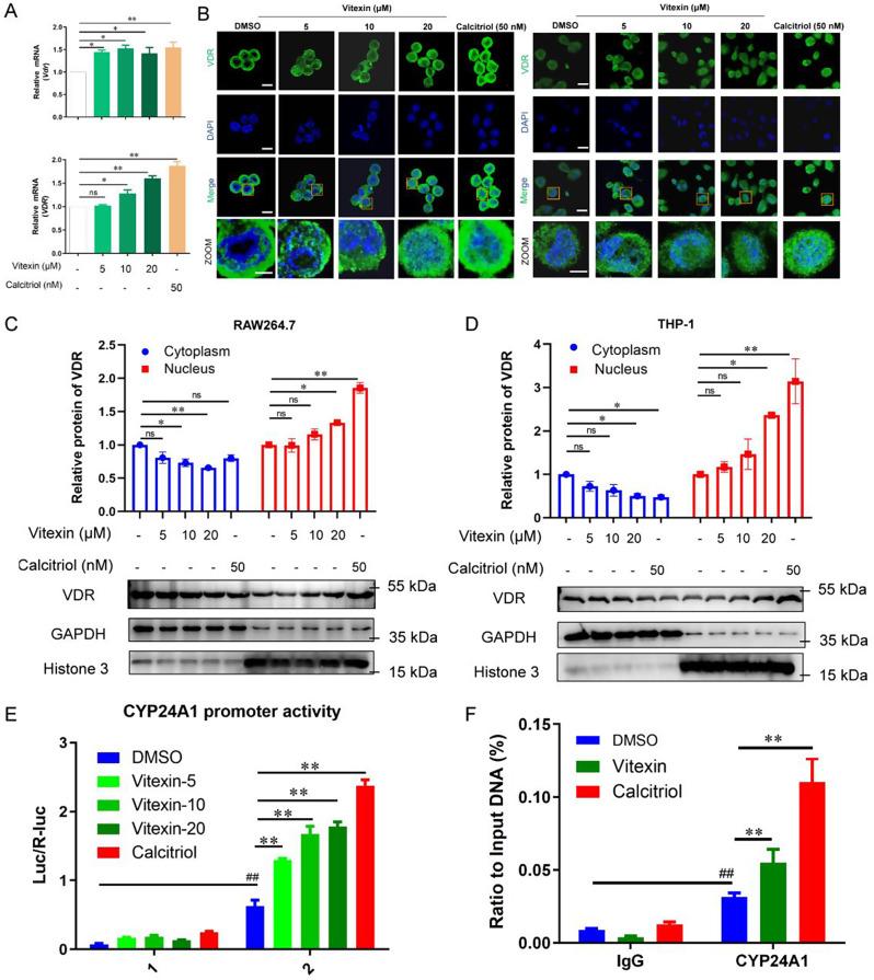 https://cdn.ncbi.nlm.nih.gov/pmc/blobs/d40e/11395219/416e73e01122/12943_2024_2108_Fig3_HTML.jpg