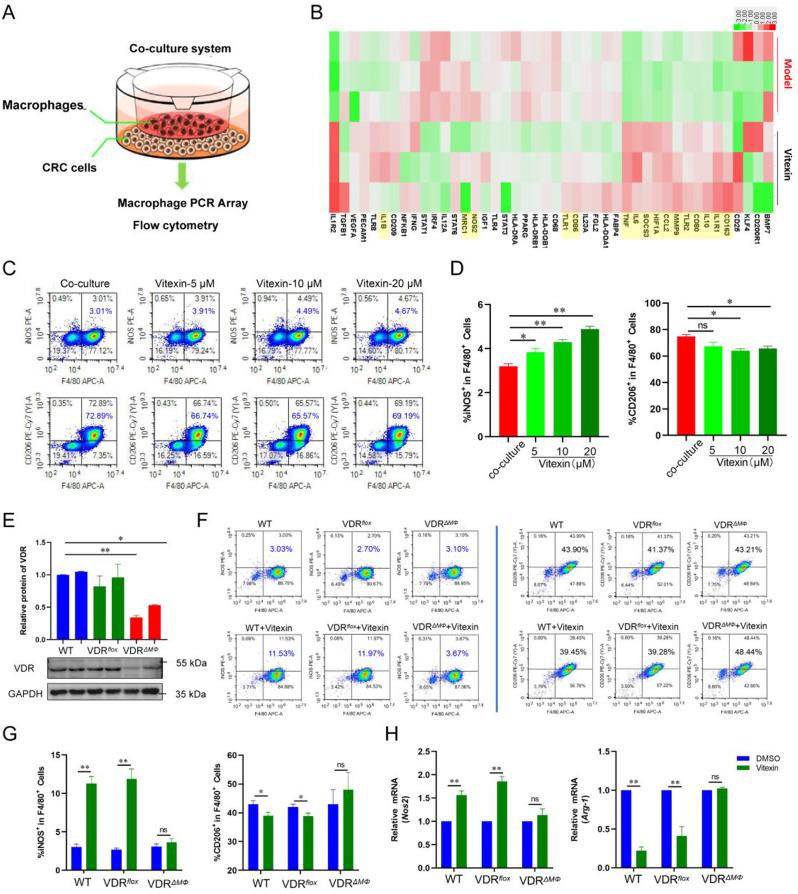 https://cdn.ncbi.nlm.nih.gov/pmc/blobs/d40e/11395219/6e762cfb4132/12943_2024_2108_Fig5_HTML.jpg