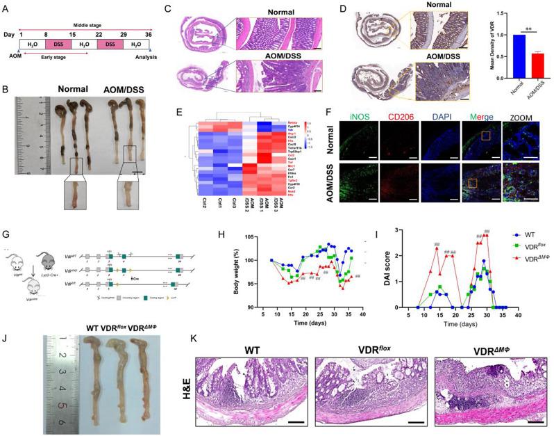 https://cdn.ncbi.nlm.nih.gov/pmc/blobs/d40e/11395219/6f181554413c/12943_2024_2108_Fig1_HTML.jpg