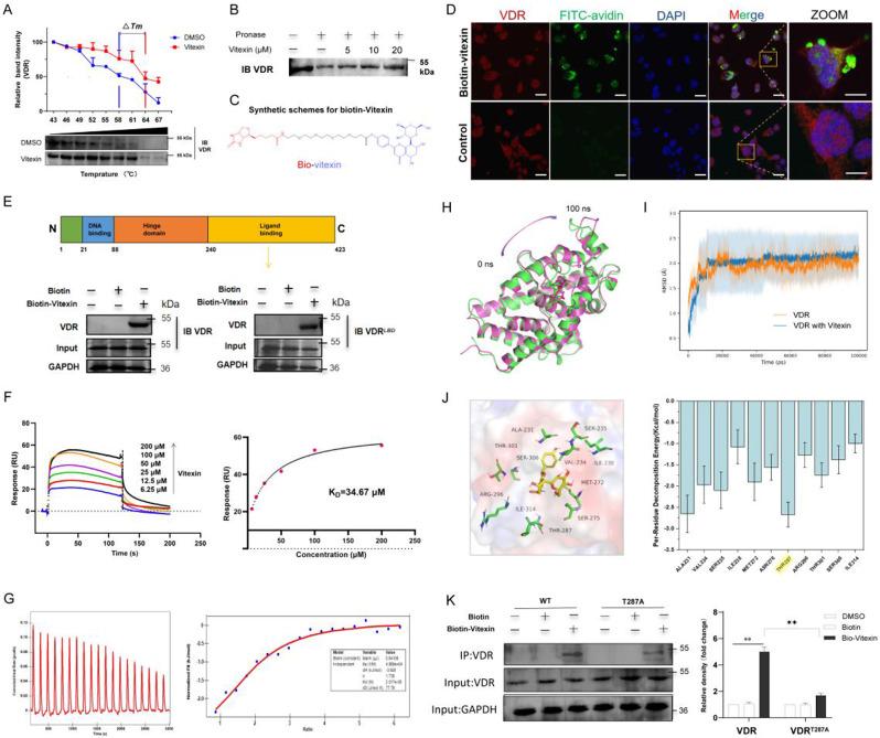 https://cdn.ncbi.nlm.nih.gov/pmc/blobs/d40e/11395219/ecb4b3a0ff61/12943_2024_2108_Fig2_HTML.jpg