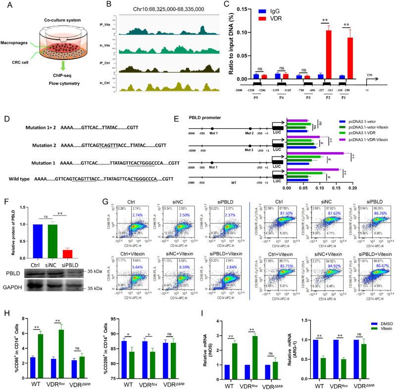 https://cdn.ncbi.nlm.nih.gov/pmc/blobs/d40e/11395219/fd56d42d0e22/12943_2024_2108_Fig6_HTML.jpg