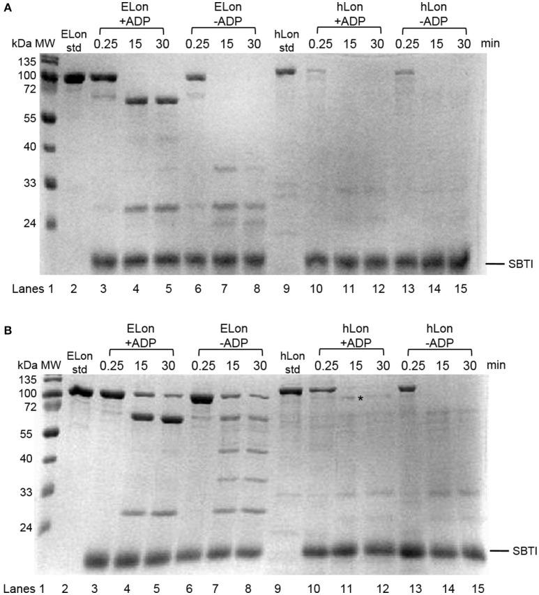 https://cdn.ncbi.nlm.nih.gov/pmc/blobs/d40e/5504276/408db6d6867a/fmolb-04-00047-g0003.jpg