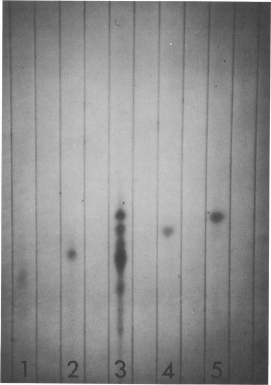 https://cdn.ncbi.nlm.nih.gov/pmc/blobs/d410/429288/c402e68e5fbc/aac00326-0101-a.jpg