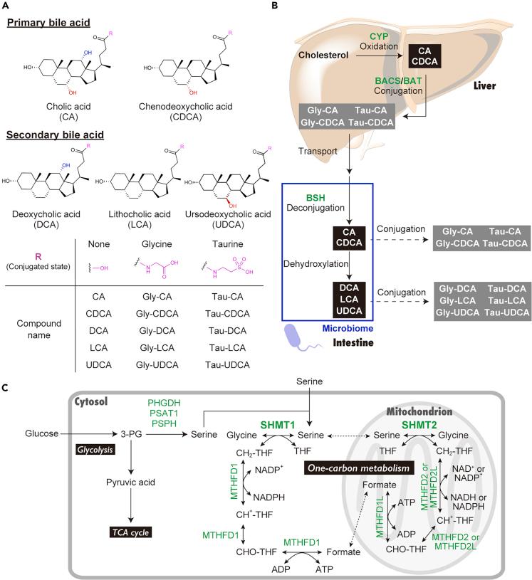 https://cdn.ncbi.nlm.nih.gov/pmc/blobs/d410/7820547/6eade8eac400/gr1.jpg