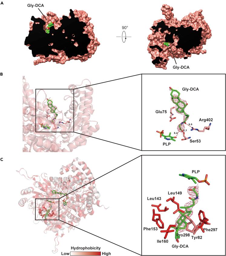 https://cdn.ncbi.nlm.nih.gov/pmc/blobs/d410/7820547/f55018d97a6e/gr2.jpg