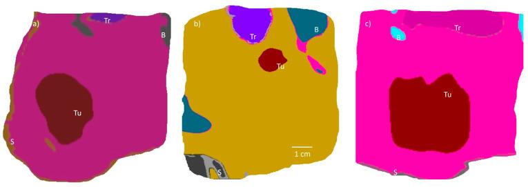 https://cdn.ncbi.nlm.nih.gov/pmc/blobs/d411/11760898/03d42f8e4105/bioengineering-12-00014-g002.jpg
