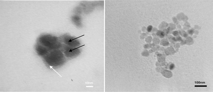 https://cdn.ncbi.nlm.nih.gov/pmc/blobs/d411/5597569/b28b014cad4c/40204_2017_68_Fig5_HTML.jpg