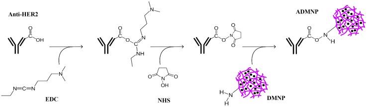 https://cdn.ncbi.nlm.nih.gov/pmc/blobs/d411/5597569/d772da7f095b/40204_2017_68_Fig3_HTML.jpg