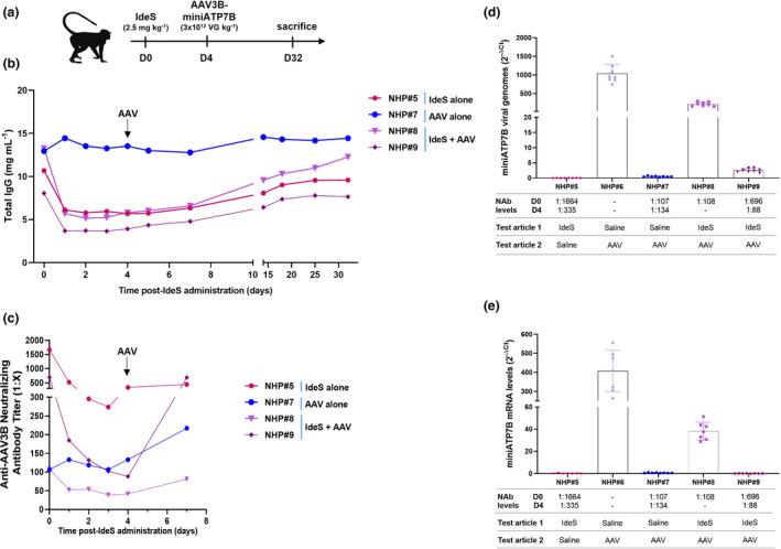 https://cdn.ncbi.nlm.nih.gov/pmc/blobs/d412/8867416/ae3638d3ccdf/CTI2-11-e1375-g007.jpg