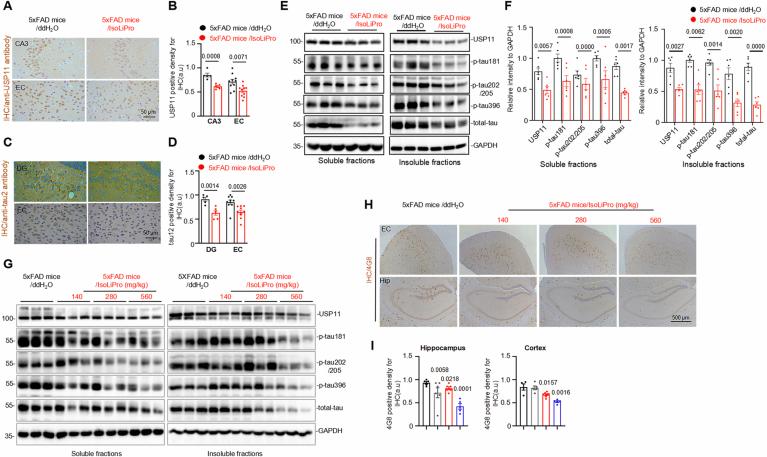https://cdn.ncbi.nlm.nih.gov/pmc/blobs/d413/11555261/6a168ef832eb/44321_2024_146_Fig12_ESM.jpg