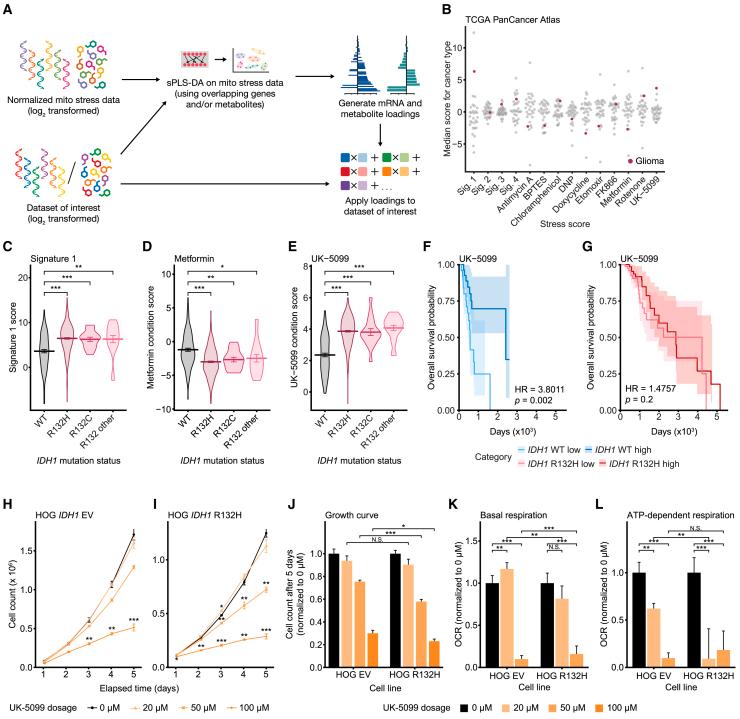 https://cdn.ncbi.nlm.nih.gov/pmc/blobs/d413/12256945/d18d4bc98b87/gr6.jpg