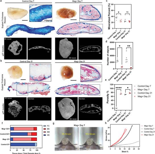 https://cdn.ncbi.nlm.nih.gov/pmc/blobs/d418/12005758/1c3c4e1075ba/ADVS-12-2413680-g003.jpg