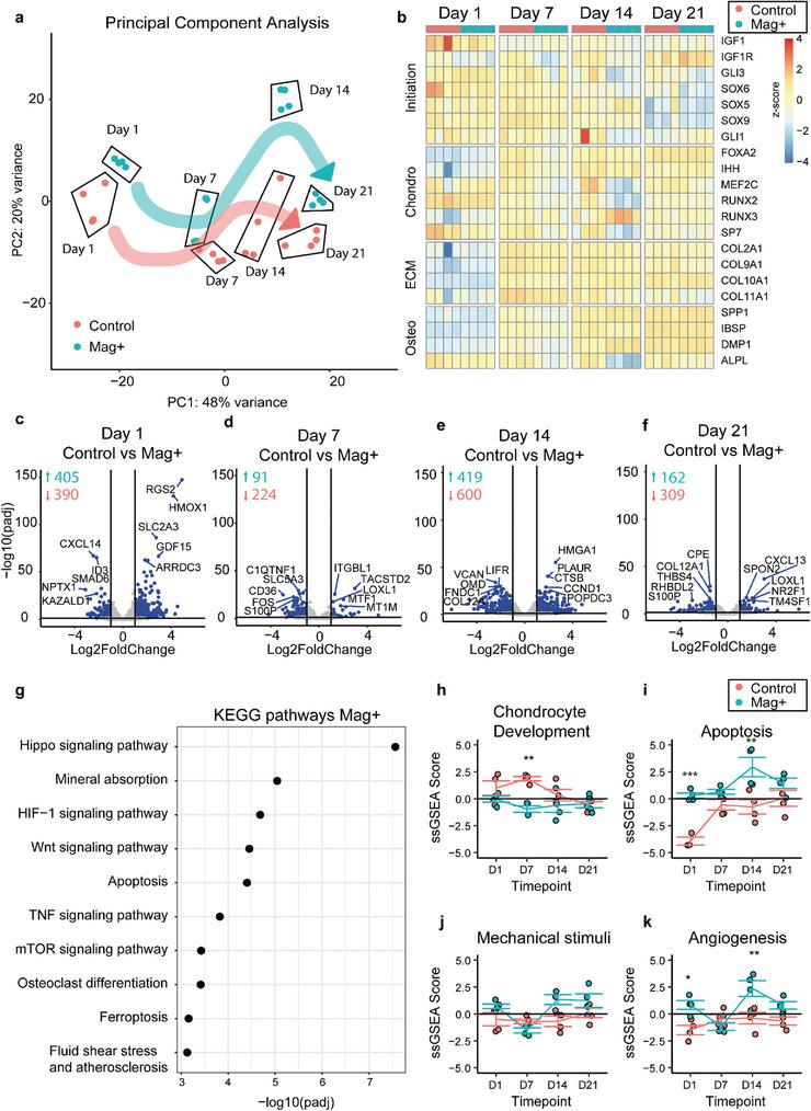 https://cdn.ncbi.nlm.nih.gov/pmc/blobs/d418/12005758/a8b5fe8f1be9/ADVS-12-2413680-g001.jpg