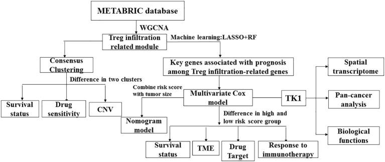 https://cdn.ncbi.nlm.nih.gov/pmc/blobs/d419/10521732/07380c25e6cd/fimmu-14-1263537-g001.jpg