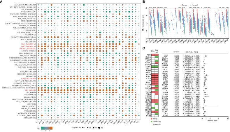 https://cdn.ncbi.nlm.nih.gov/pmc/blobs/d419/10521732/a3b7849be4b9/fimmu-14-1263537-g009.jpg