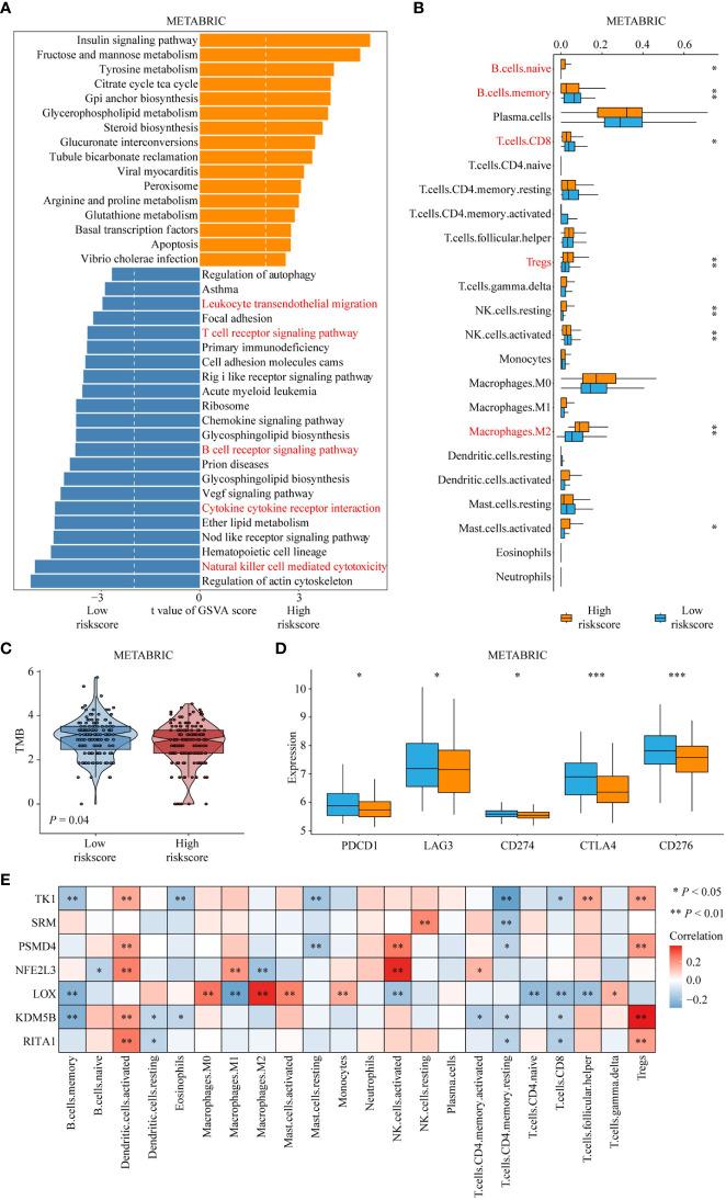 https://cdn.ncbi.nlm.nih.gov/pmc/blobs/d419/10521732/abd67324635d/fimmu-14-1263537-g005.jpg