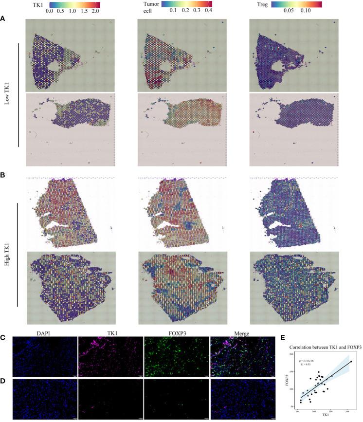 https://cdn.ncbi.nlm.nih.gov/pmc/blobs/d419/10521732/d18535be71b3/fimmu-14-1263537-g008.jpg