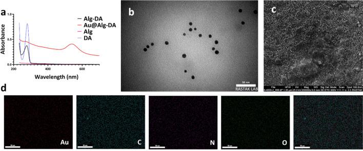 https://cdn.ncbi.nlm.nih.gov/pmc/blobs/d419/11164878/17c5c38fa8c7/41598_2024_60396_Fig2_HTML.jpg