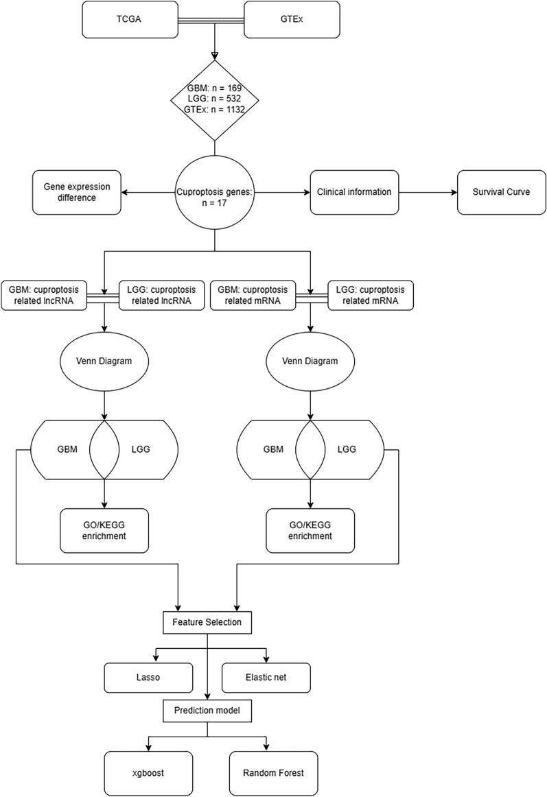 https://cdn.ncbi.nlm.nih.gov/pmc/blobs/d419/11437180/0d4e16dcf4b8/41598_2024_72664_Fig1_HTML.jpg