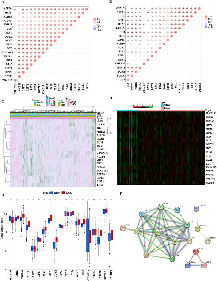 https://cdn.ncbi.nlm.nih.gov/pmc/blobs/d419/11437180/67669c28d138/41598_2024_72664_Fig2_HTML.jpg