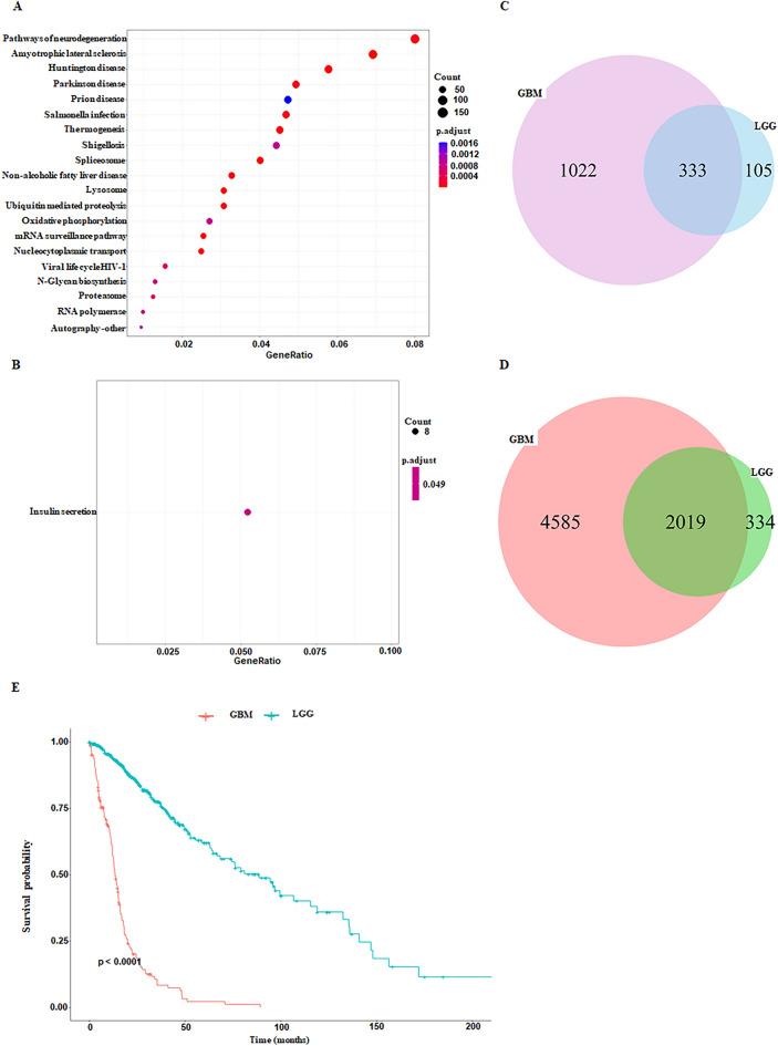 https://cdn.ncbi.nlm.nih.gov/pmc/blobs/d419/11437180/7559bbed7991/41598_2024_72664_Fig4_HTML.jpg