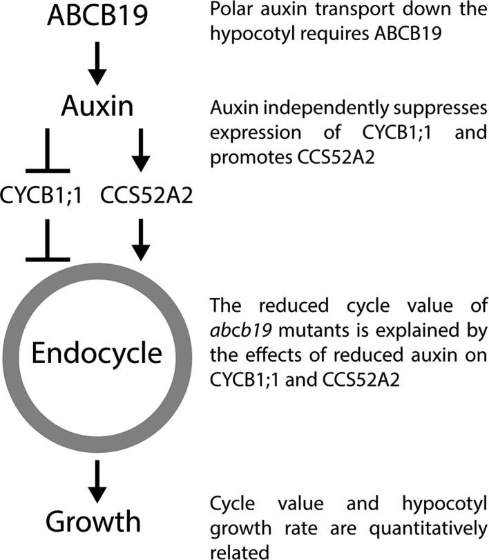 https://cdn.ncbi.nlm.nih.gov/pmc/blobs/d419/4744948/e01898d32093/TPJ-85-209-g008.jpg
