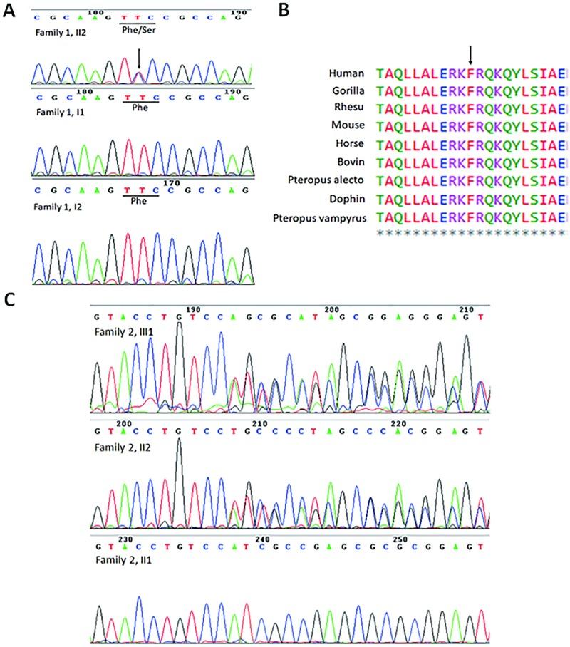https://cdn.ncbi.nlm.nih.gov/pmc/blobs/d41b/6948825/892663b7d0f3/pone.0227287.g002.jpg