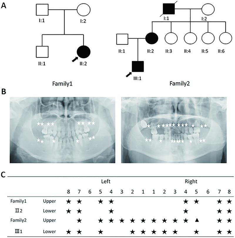 https://cdn.ncbi.nlm.nih.gov/pmc/blobs/d41b/6948825/d2c54ea5da87/pone.0227287.g001.jpg