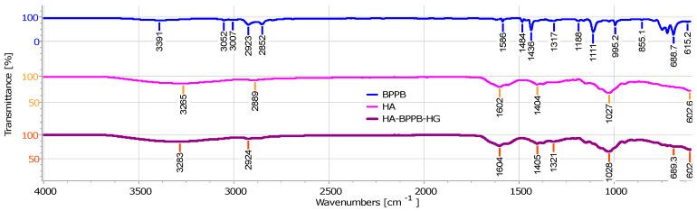 https://cdn.ncbi.nlm.nih.gov/pmc/blobs/d41e/11432396/1aa95e854851/ijms-25-10071-g011.jpg