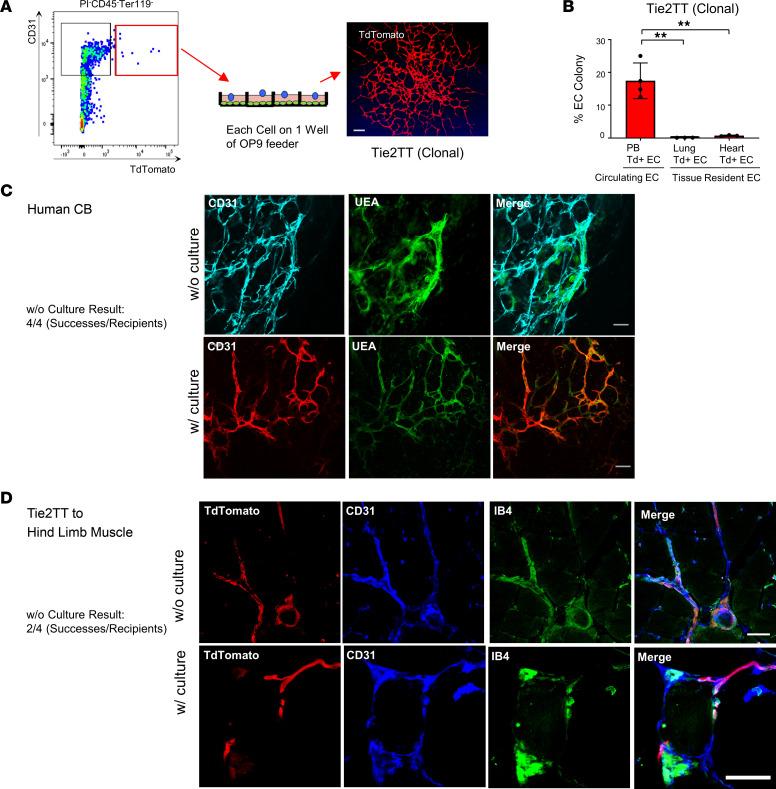 https://cdn.ncbi.nlm.nih.gov/pmc/blobs/d421/10077473/7de04f5da98b/jciinsight-8-164781-g214.jpg