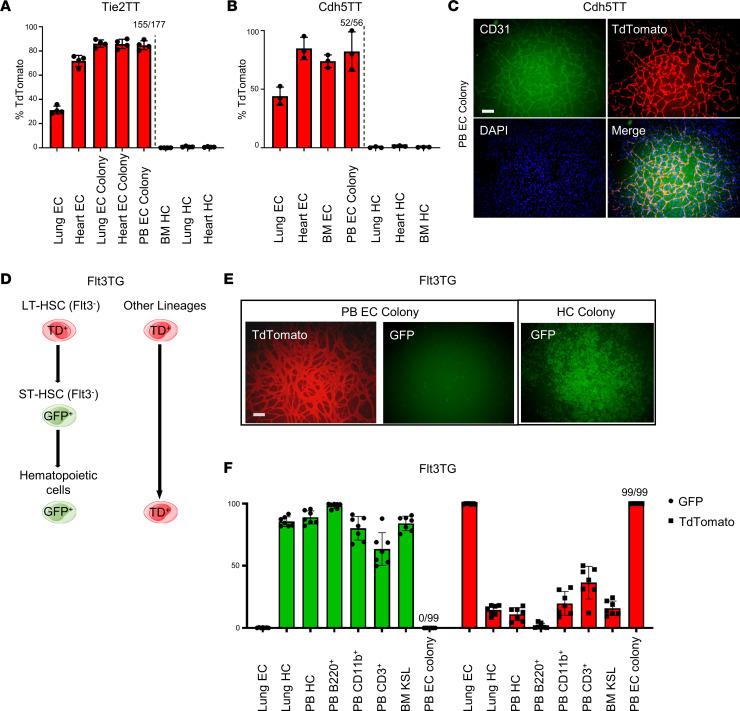 https://cdn.ncbi.nlm.nih.gov/pmc/blobs/d421/10077473/eb29574008f7/jciinsight-8-164781-g215.jpg