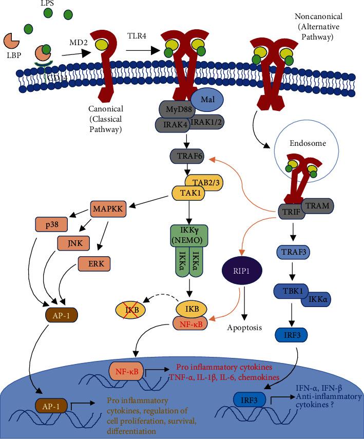 https://cdn.ncbi.nlm.nih.gov/pmc/blobs/d421/7811571/c62e419efbb2/MI2021-8874339.002.jpg