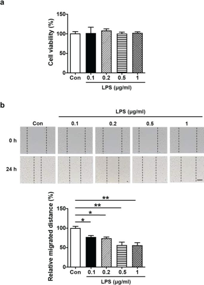 https://cdn.ncbi.nlm.nih.gov/pmc/blobs/d425/10722477/42d2747be9b1/IJBMS-27-16-g001.jpg