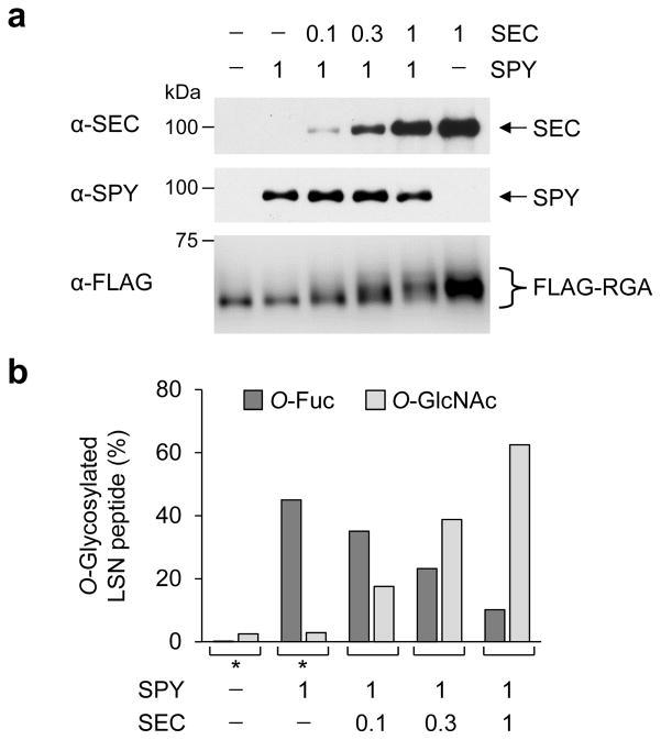 https://cdn.ncbi.nlm.nih.gov/pmc/blobs/d425/5391292/9450011a2f98/nihms833882f5.jpg