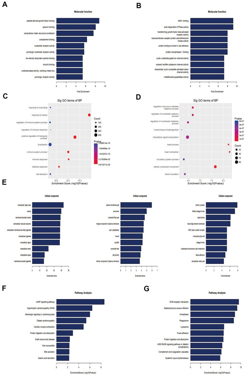 https://cdn.ncbi.nlm.nih.gov/pmc/blobs/d425/8351682/461f1513a0b5/aging-13-203230-g004.jpg