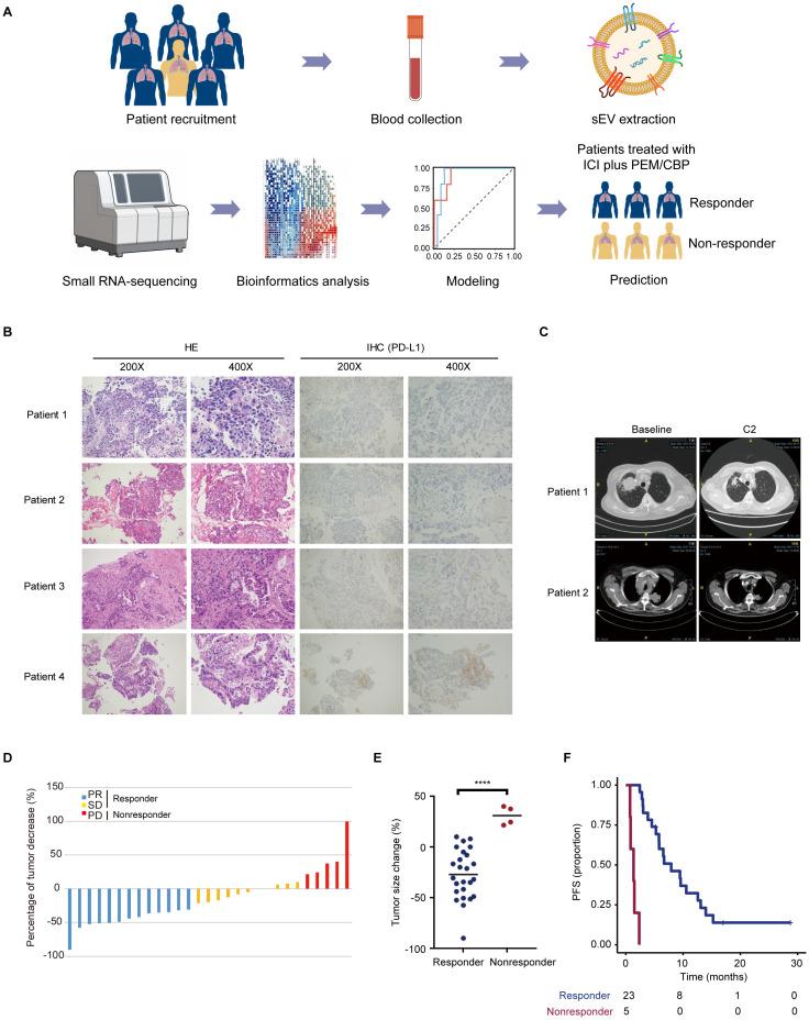 https://cdn.ncbi.nlm.nih.gov/pmc/blobs/d427/11994727/4cf581fca081/fimmu-16-1573043-g001.jpg