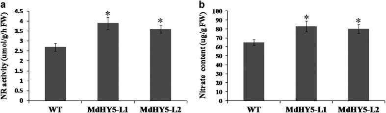 https://cdn.ncbi.nlm.nih.gov/pmc/blobs/d427/5461414/0fbe06942c31/hortres201723-f7.jpg