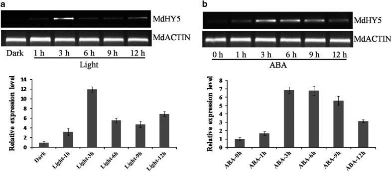 https://cdn.ncbi.nlm.nih.gov/pmc/blobs/d427/5461414/70d217cd8e82/hortres201723-f2.jpg