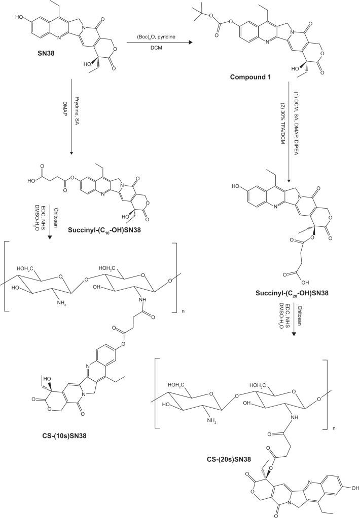 https://cdn.ncbi.nlm.nih.gov/pmc/blobs/d428/4376263/4f81ef00f02b/ijn-10-2295Fig2.jpg