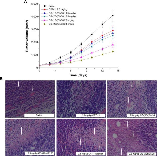 https://cdn.ncbi.nlm.nih.gov/pmc/blobs/d428/4376263/4fbc37ff0478/ijn-10-2295Fig12.jpg